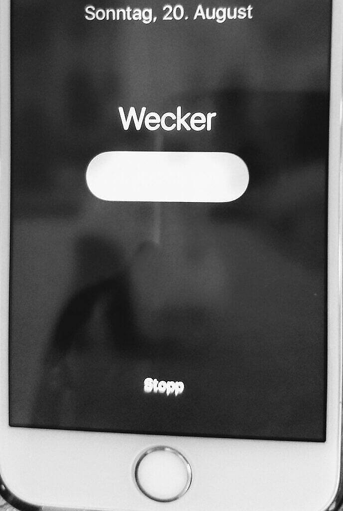 Zurück im Alltag. Gedanken einer Mama, die “nix macht“