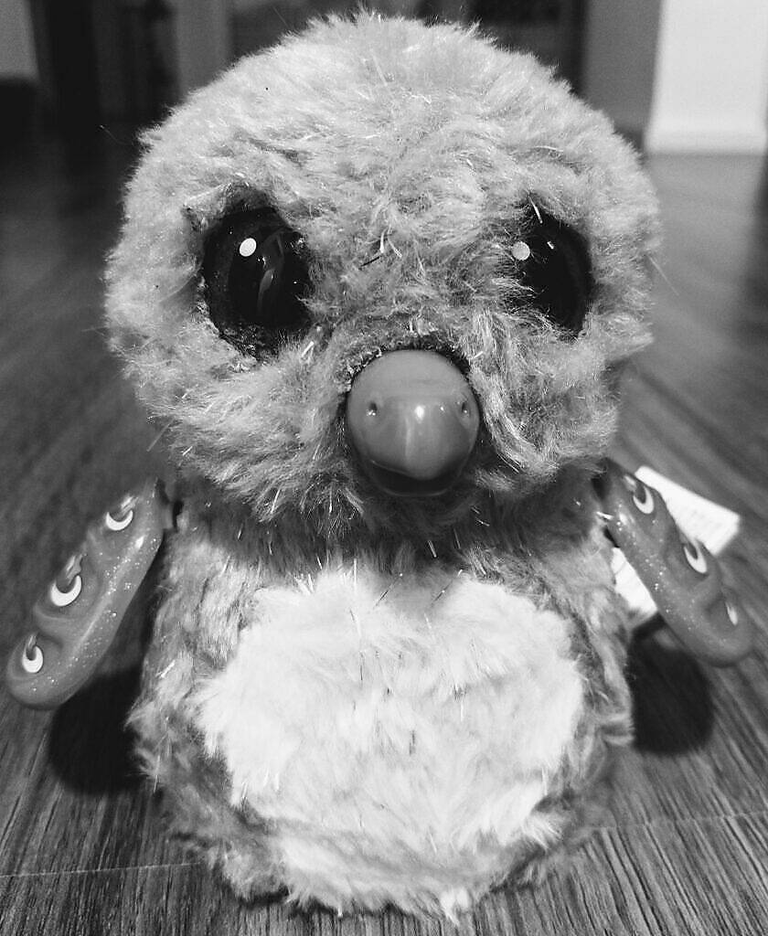 Hatchi Birthday! Von großgewordenen Babies und schlüpfrigen Spielzeugen