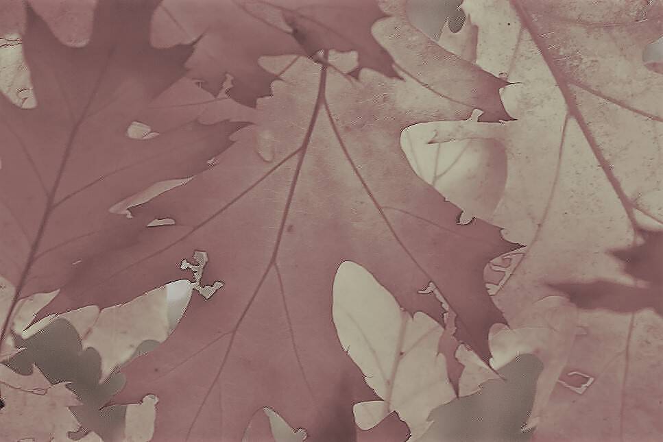 Herbstferien: Eine Mutter zieht Bilanz, von einer Soll/Ist-Aufstellung der etwas anderen Art