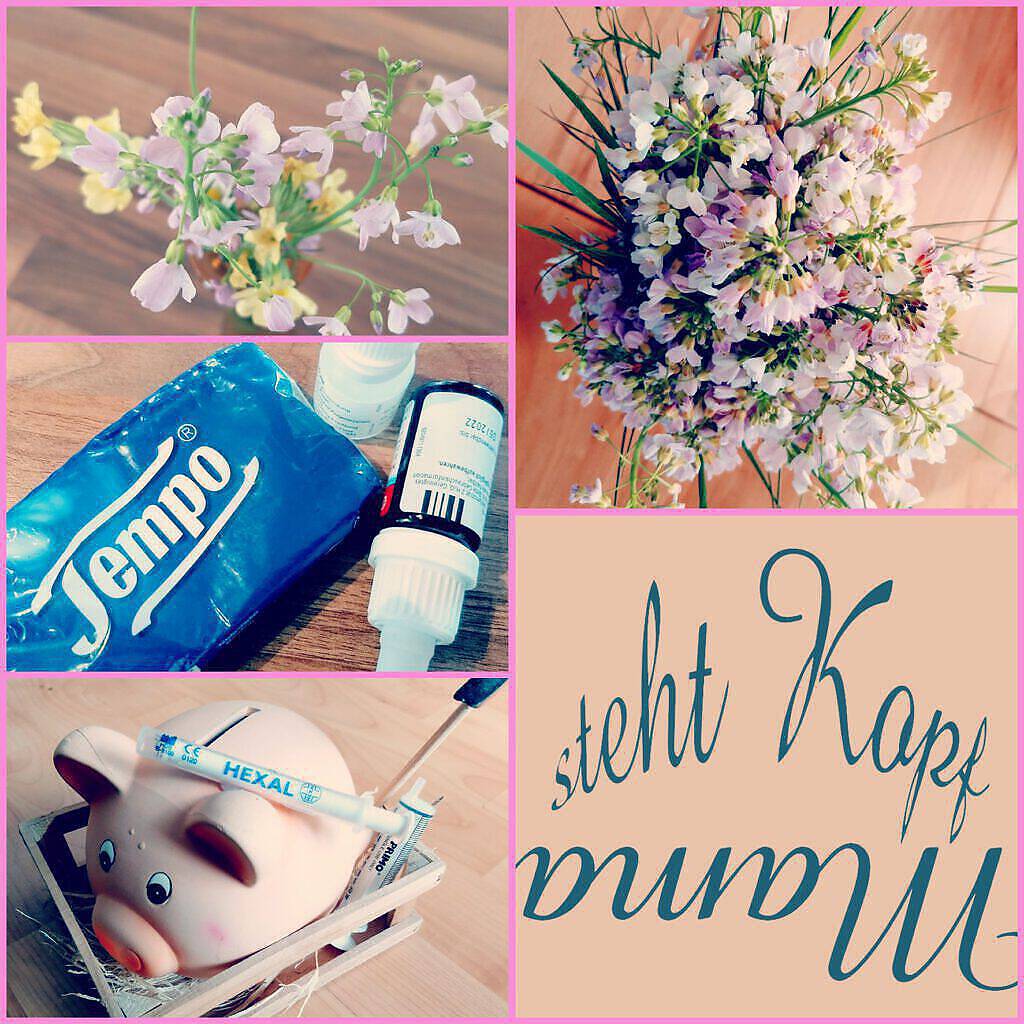 PicsArt_04-17-07.08.57