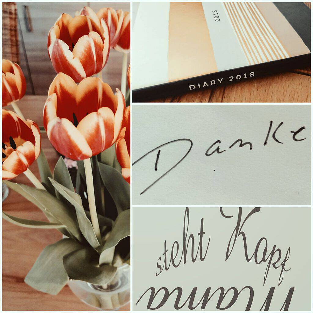 PicsArt_04-18-10.35.15