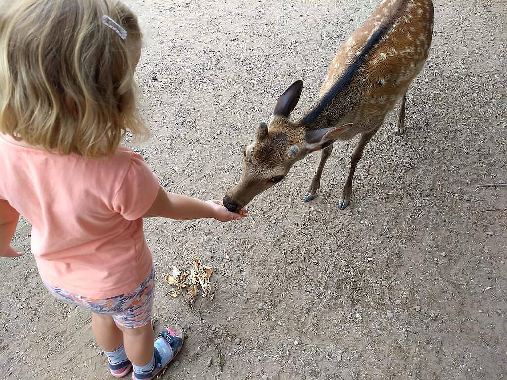 IMG_20180704_150609432