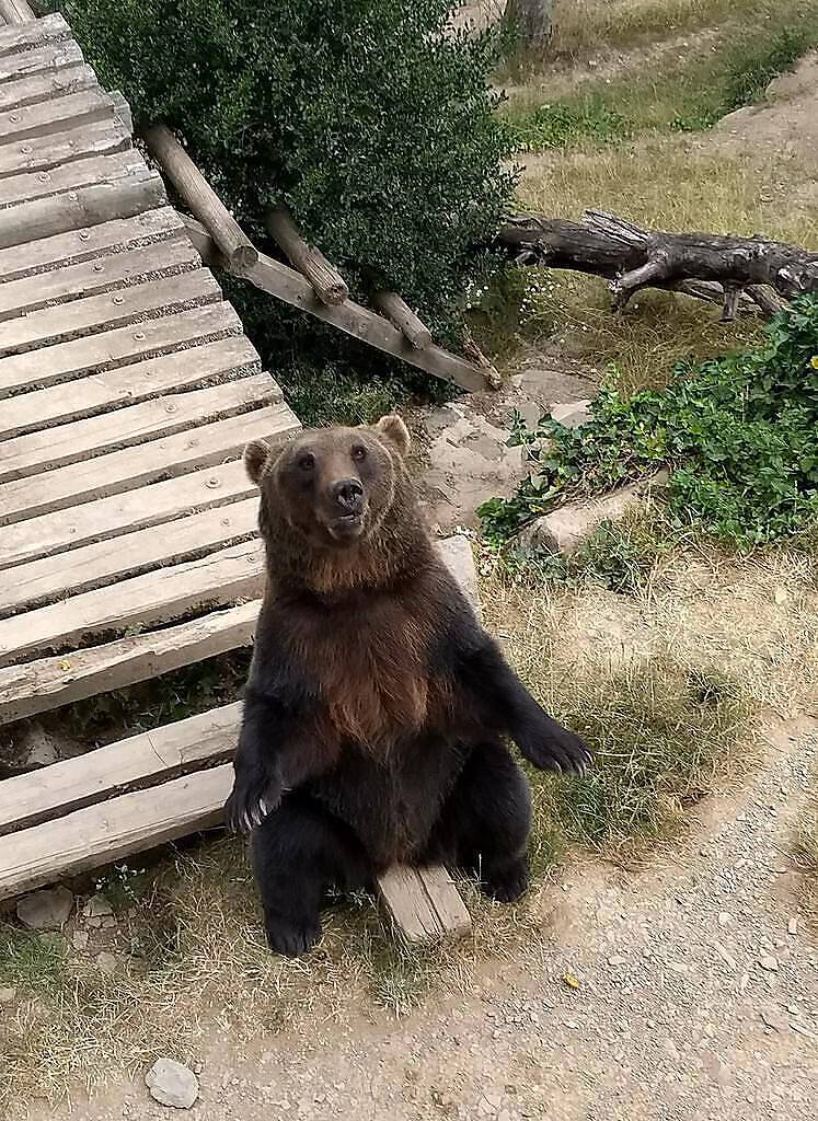 IMG_20180704_151606191