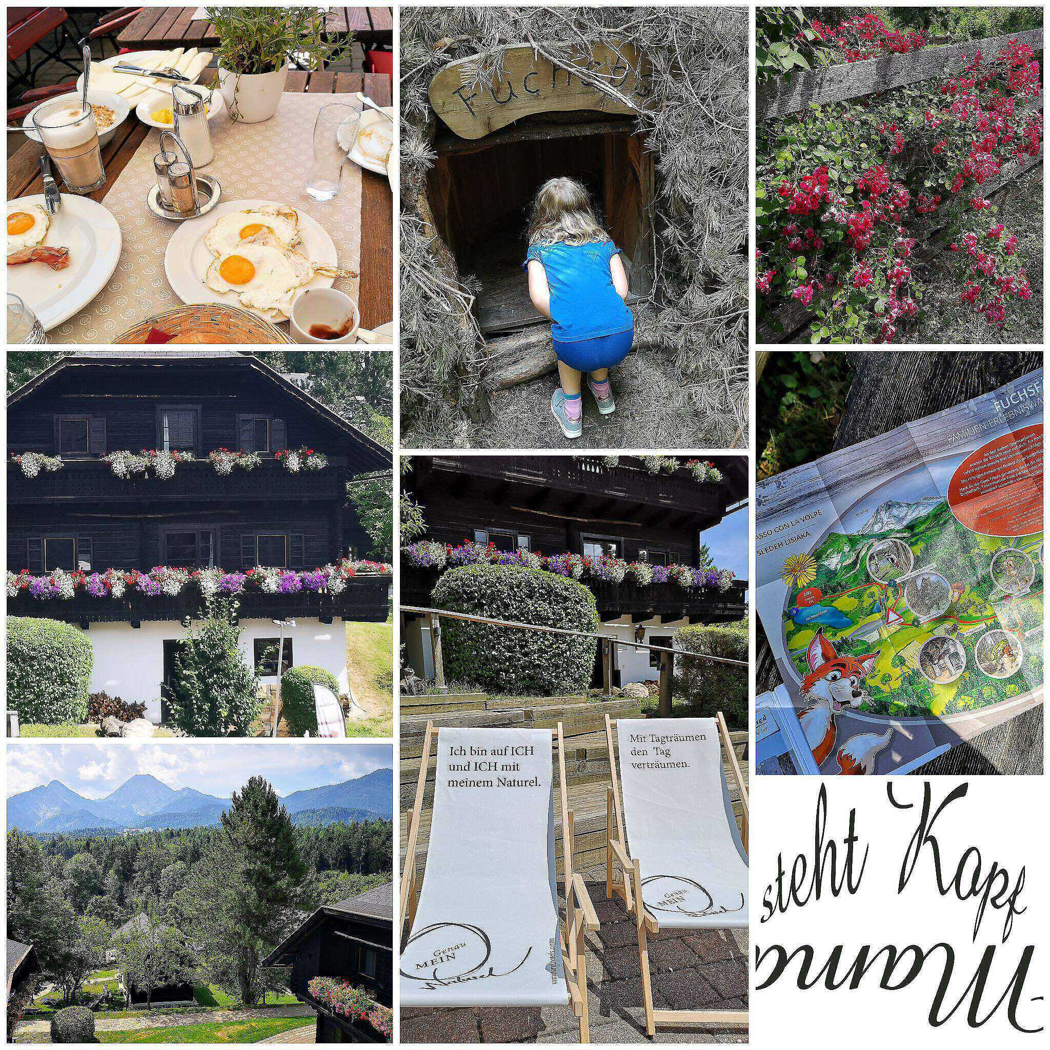 Wenn Fünf eine Reise tun: Vom Naturel Hoteldorf SCHÖNLEITN zu Fuchsfährte und Aichwaldsee