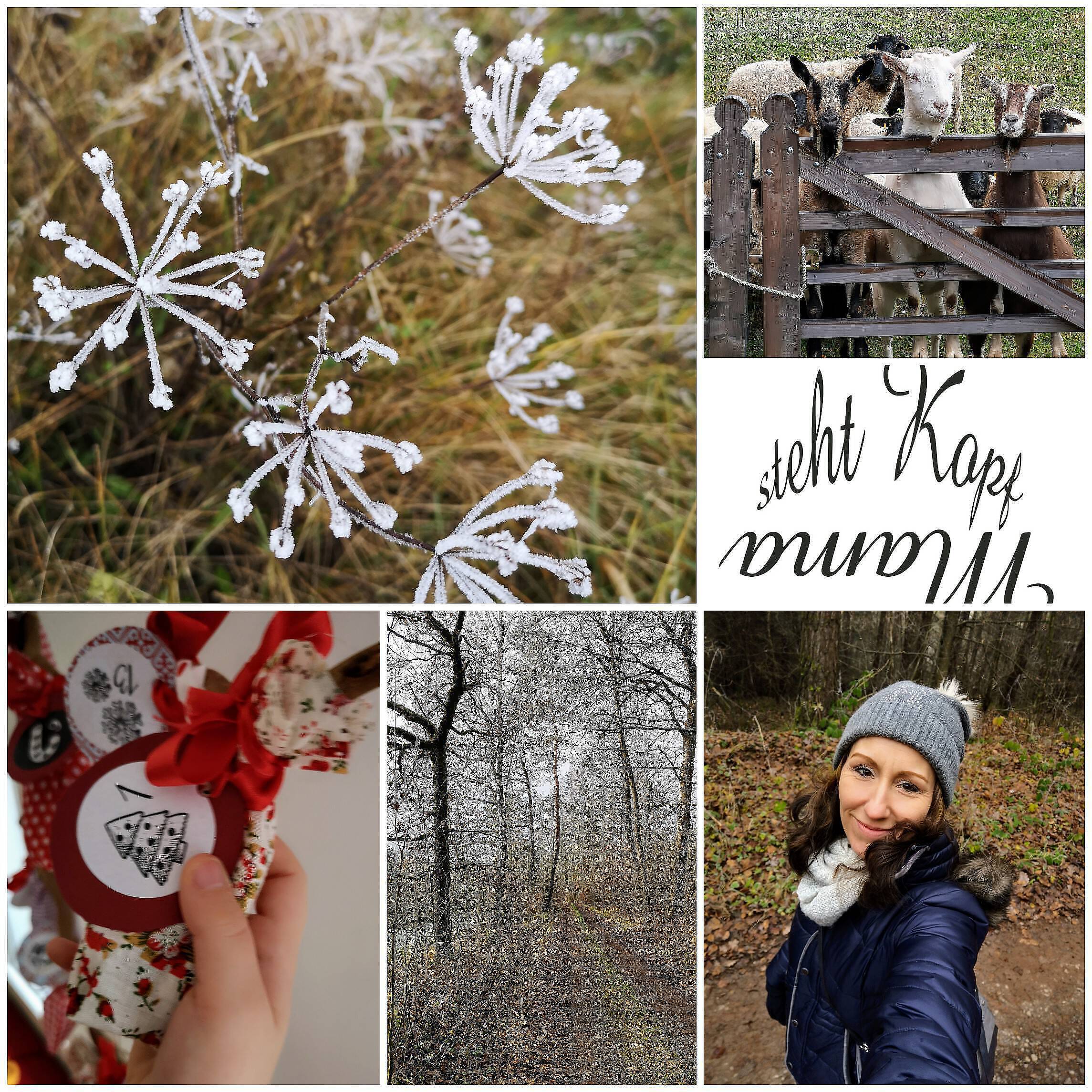 Das Leben fragt nicht nach dem Kalender-Datum – Unser Wochenende in Bildern 30.11./01.12.