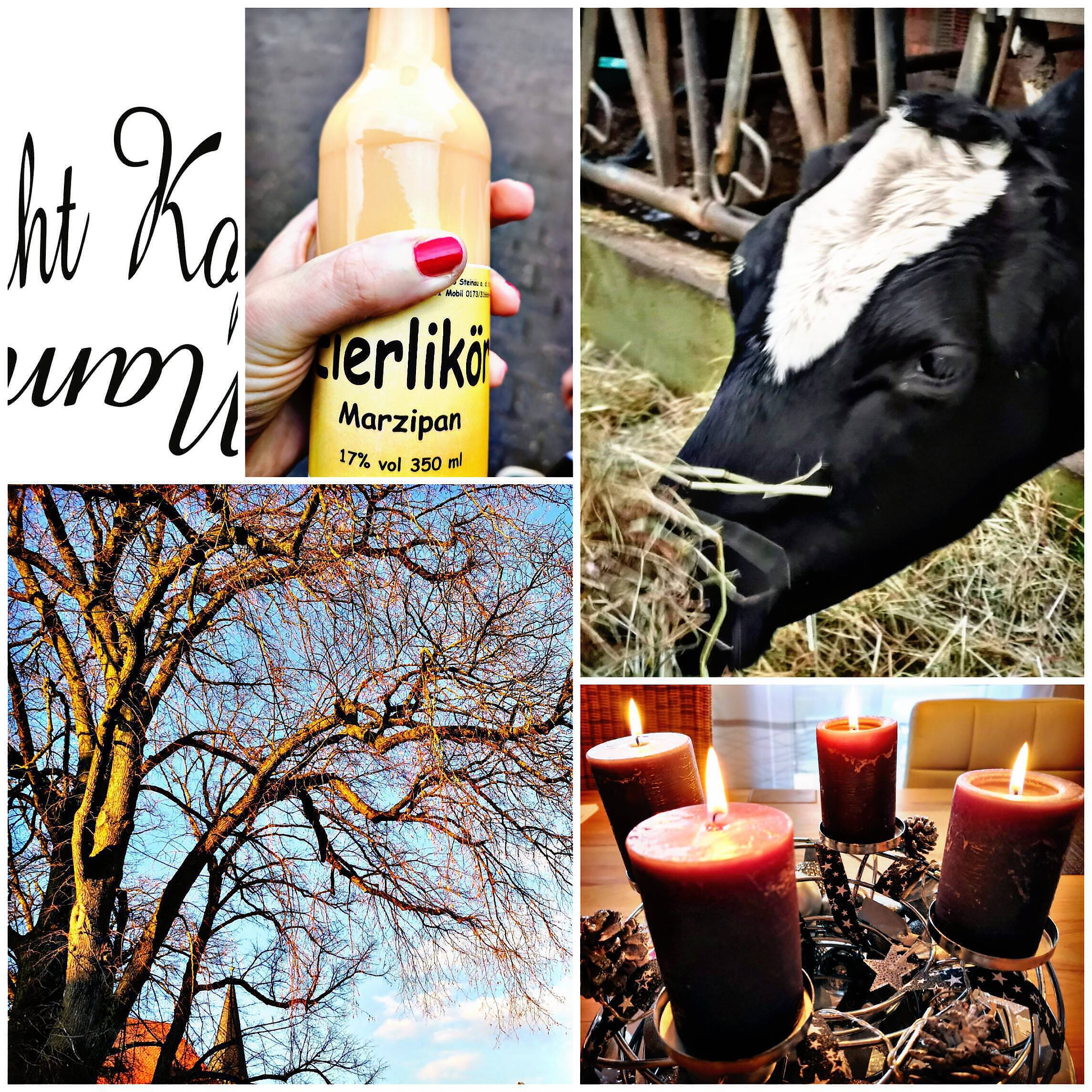 Endlich Ruhe, Eierlikör und Kerzenschein – unser Wochenende in Bildern 21./22.12.