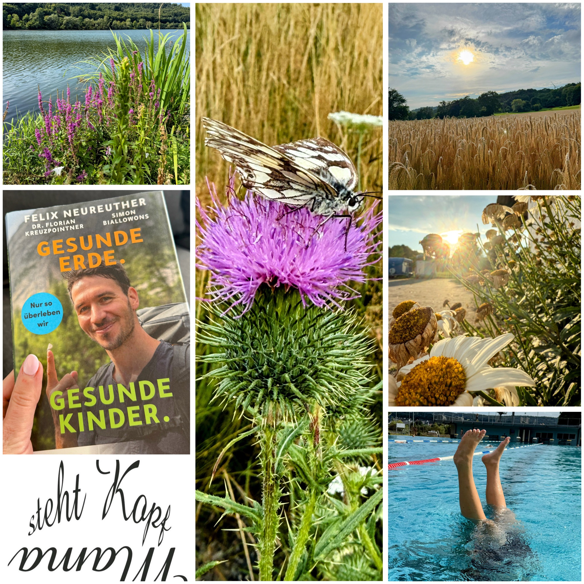 Gesunde Erde. Gesunde Kinder.: Die Schönheiten unserer Natur sind NICHT selbstverständlich! Darum sollten wir JETZT aufwachen! Teil 1