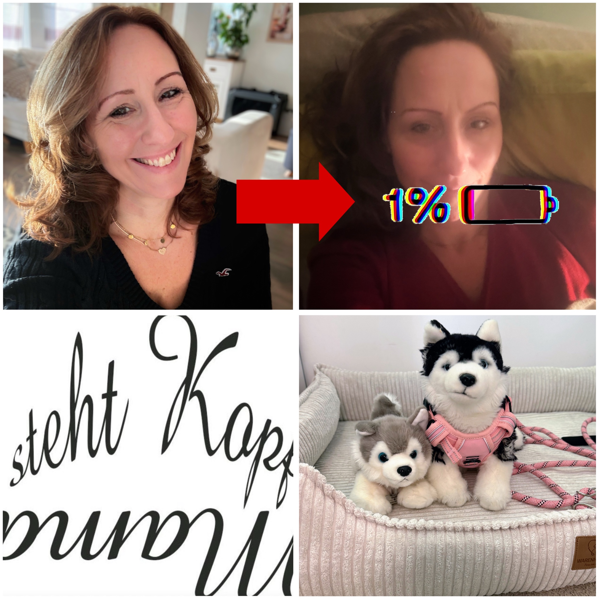 Wenn der Körper ausbremst und Shit happens (geht die Welt auch nicht unter)! Unser Familien-#wib 24./25.01.