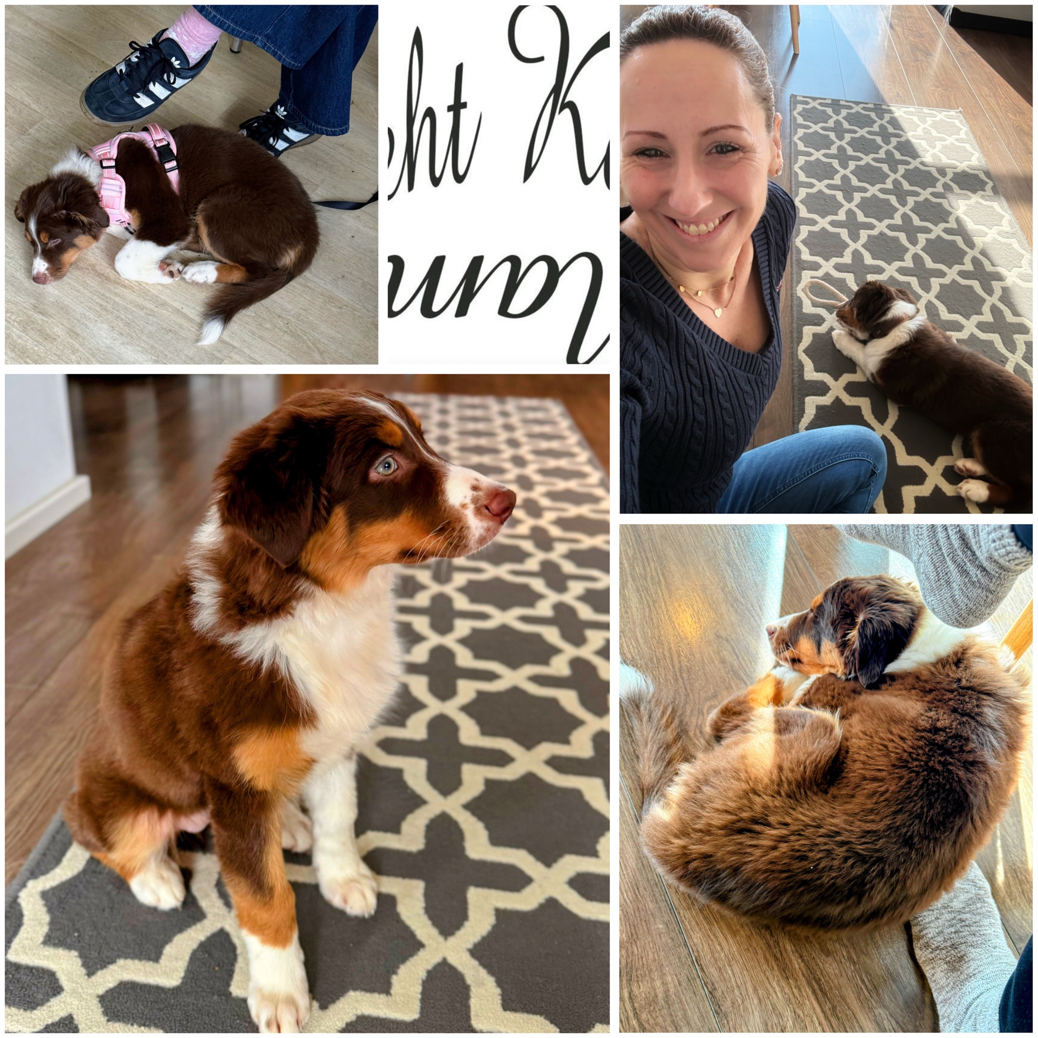 Welpen-Update! JA, unsere Welt steht definitiv wieder Kopf und der Platz in unseren Herzen ist erobert!