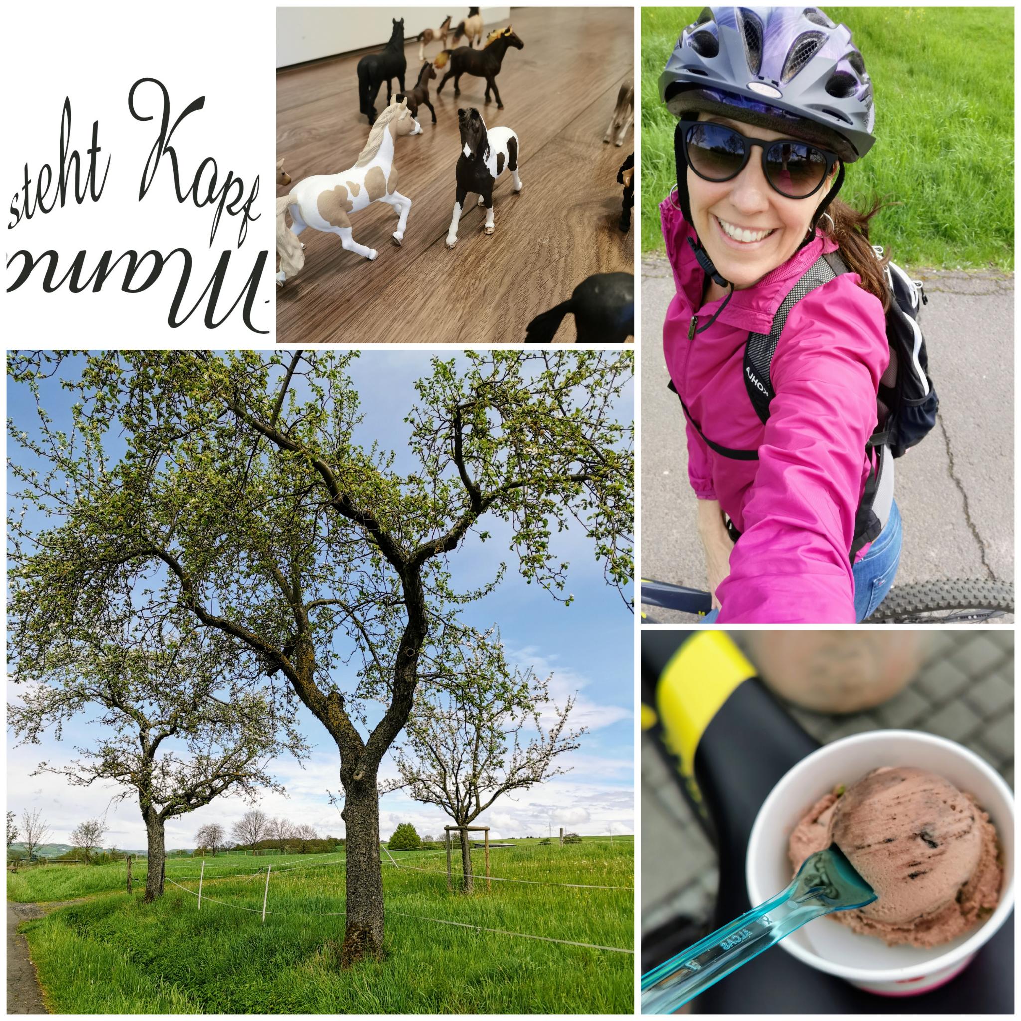 Von Akzeptanz & sonstigen Tugenden, einer Bike-Tour und viel Regen – Unser Wochenende in Bildern 15./16.05.