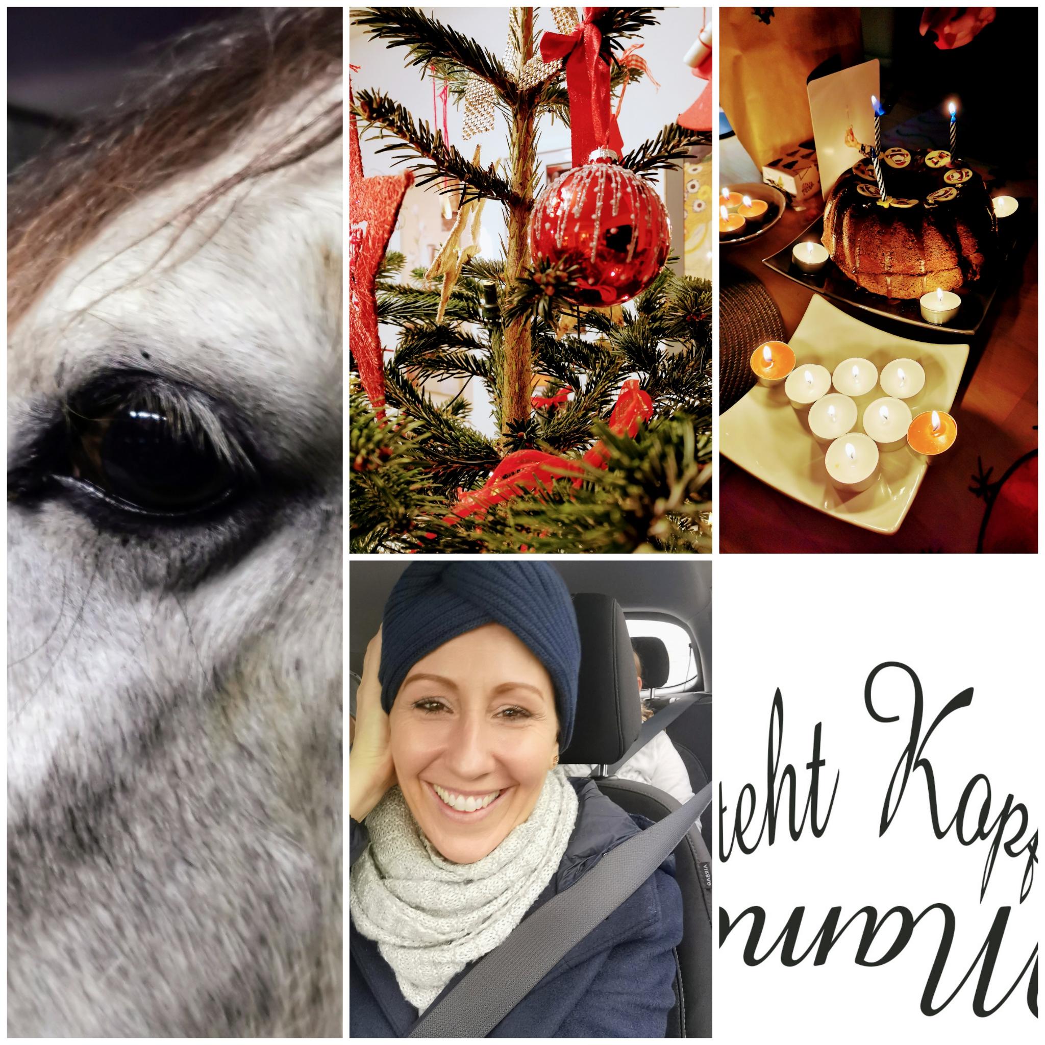 Pferdesabber, Lichterglanz und alte Geburtstagskinder! Unser Wochenende mit der Schnapszahl!