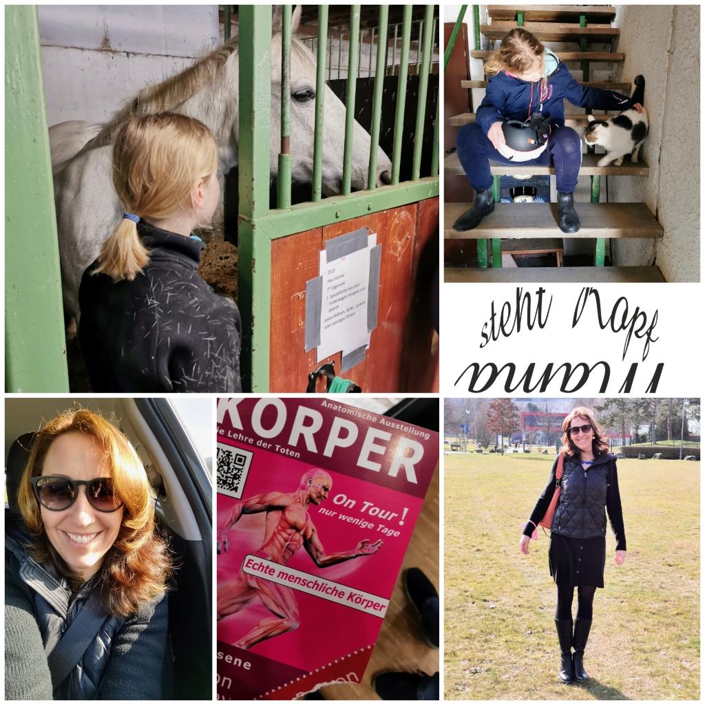 Das alles bin ich. Sonnenschein, Pferdeduft und Faszination menschlicher Körper! #12von12 & #Wib