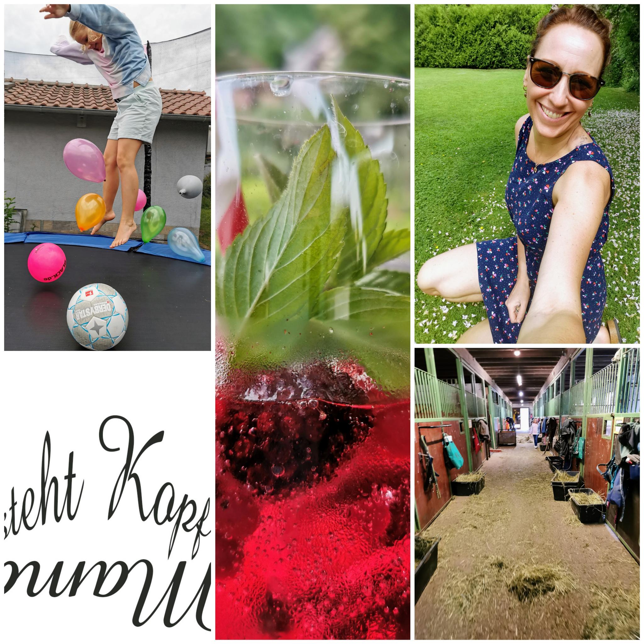 Mein Leben ist ja doch (k)ein Ponyhof! – Vom Reitermädchen, das ich nie war – Unser #wib 04./05.06.