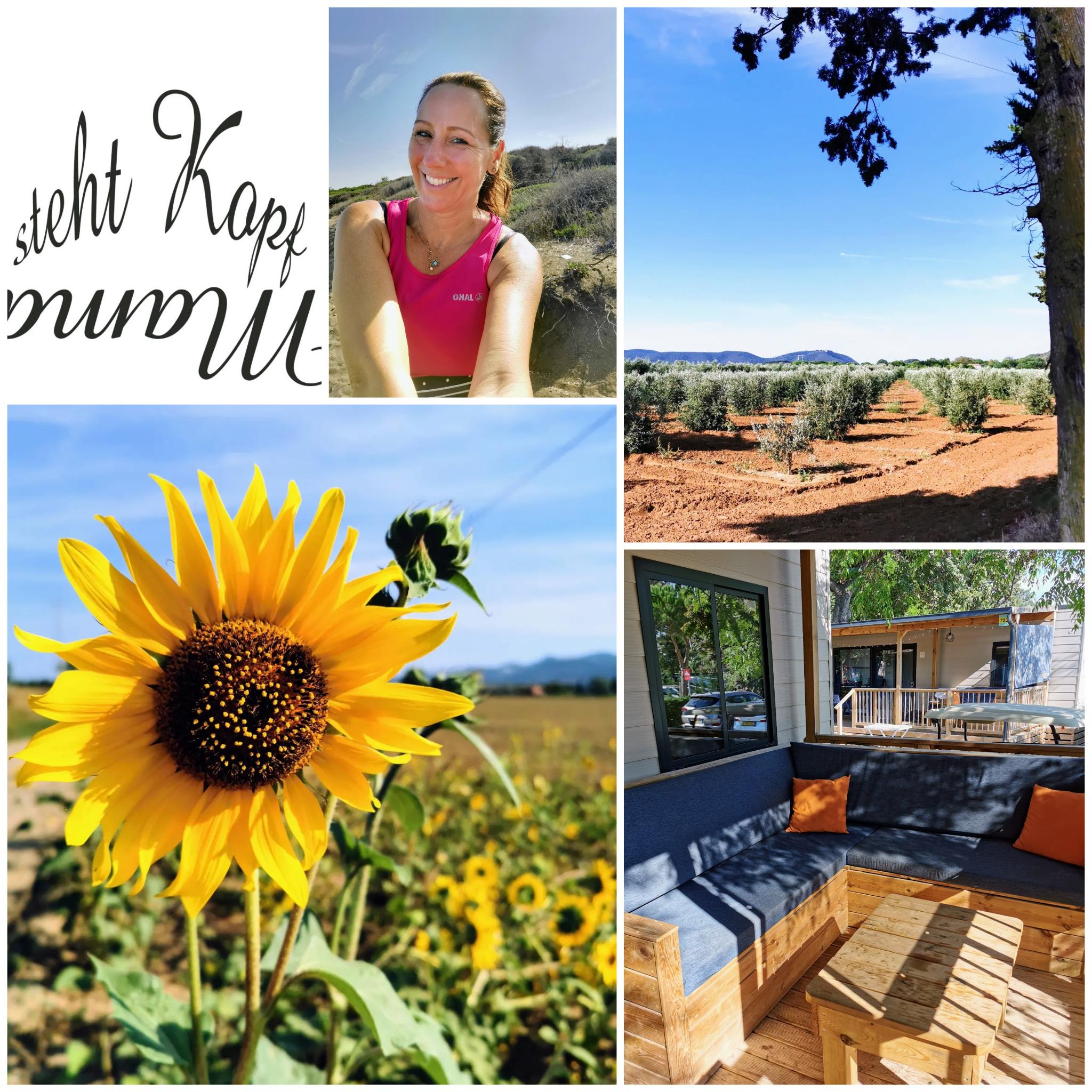 Wenn Fünf eine Reise tun: Hallo neuer Campingplatz! Hallo Festland! Fängt jetzt meine Entspannung an? ;) #wib 27./28.08.