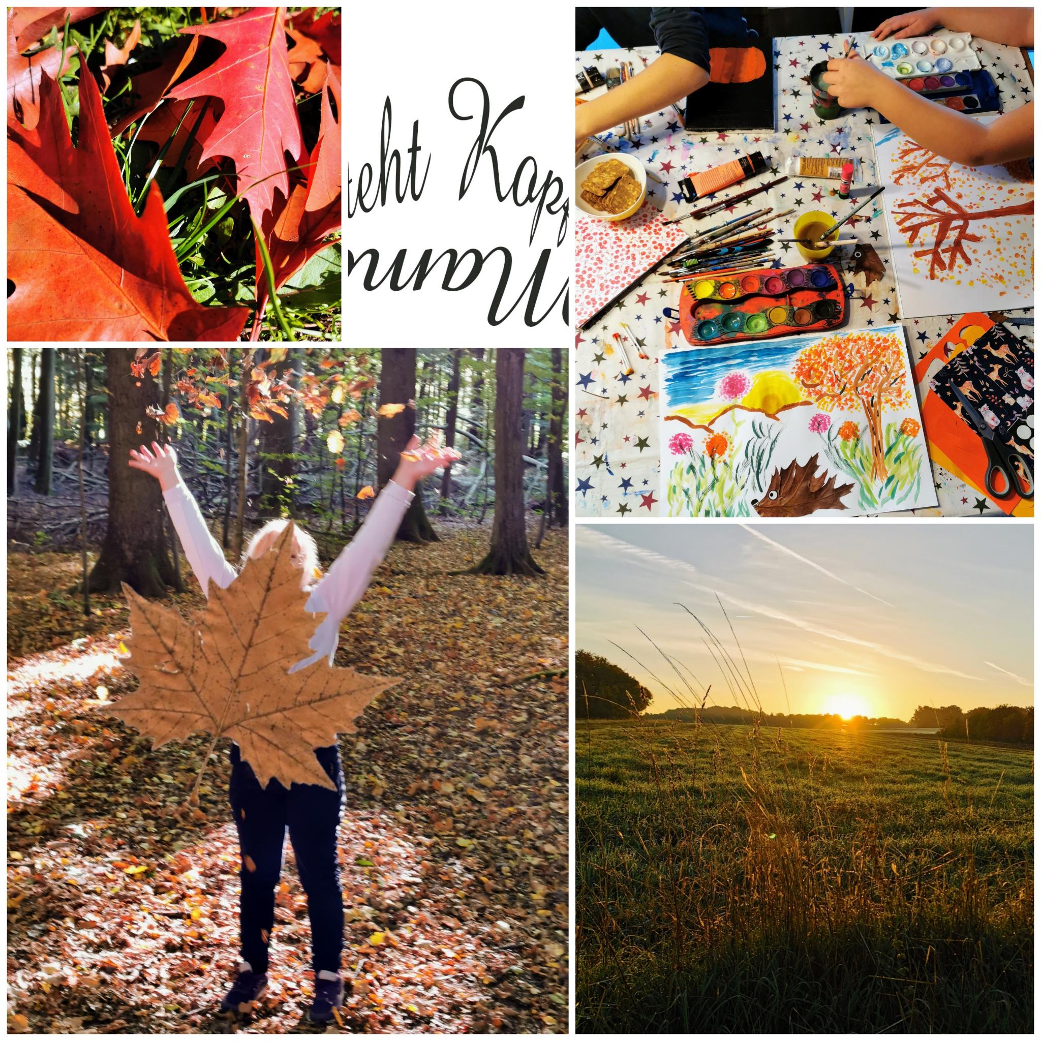 Jede (Jahres-) Zeit hat ihren ganz besonderen Zauber: Herbst mit kleinen und großen Kindern